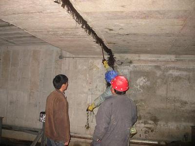 �����Ҷ�©